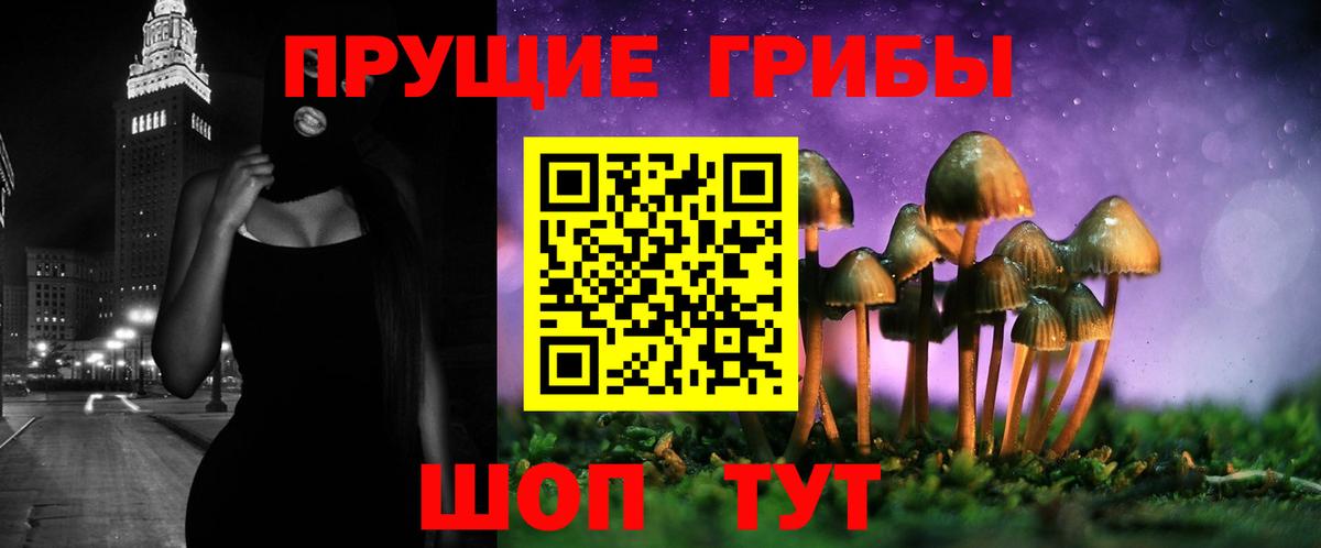 Домодедово  Псилоцибиновые грибы Psilocybe  наркошоп  Вход с VPN  Галлюциногенные грибы Psilocybine cubensis 